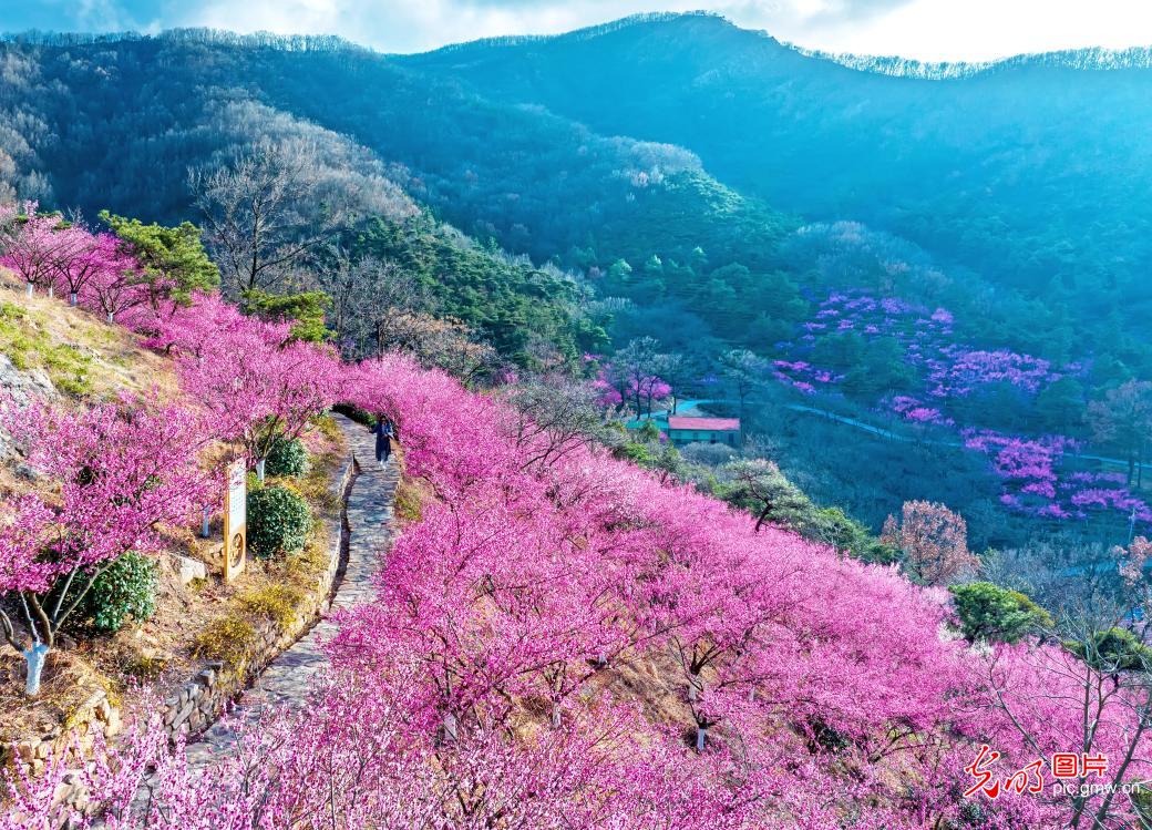 People enjoy spring outings and flower viewing across China
