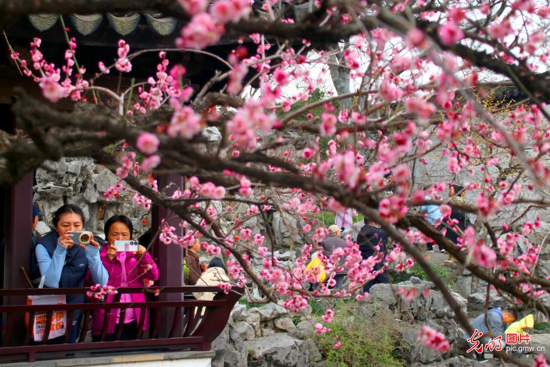 Spring in full bloom at Jiangsu's Yipu Garden