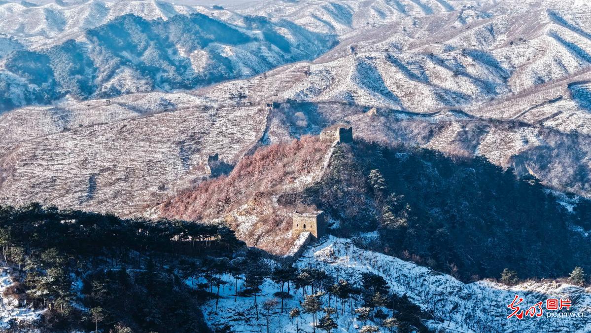 Snow-covered Great Wall presents majestic winter scene in N China's Hebei