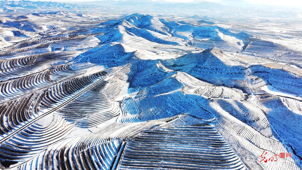 Snow-covered terraced hills create striking early-spring landscape in N China's Inner Mongolia