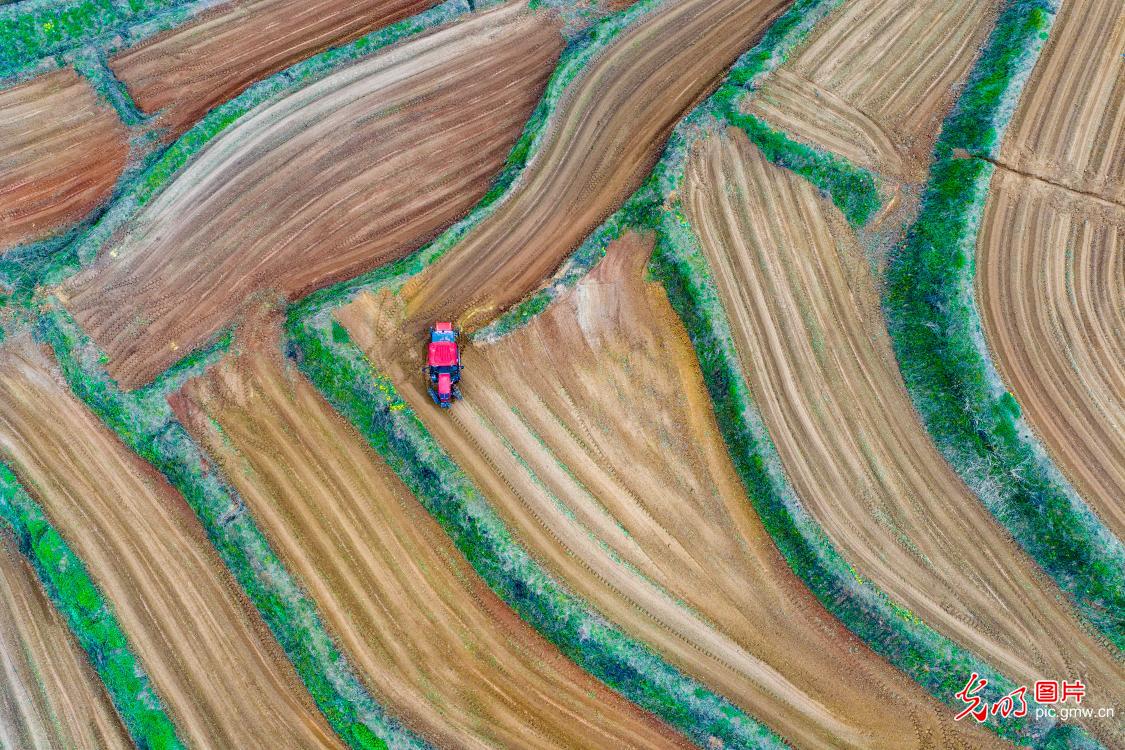 Spring farming in full swing across China