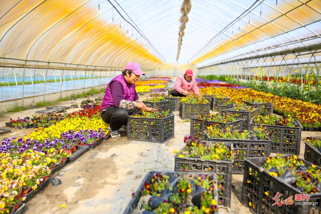 Spring farming in full swing across China