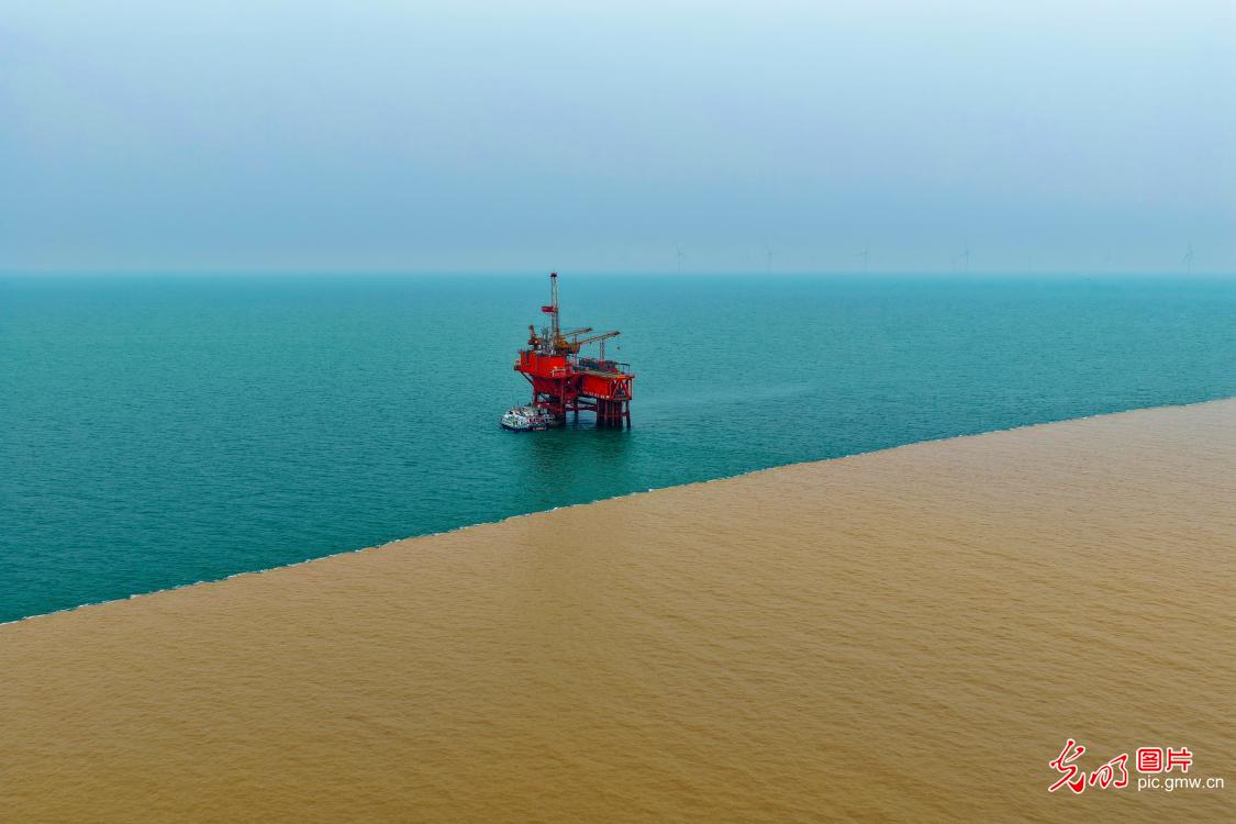 Green development at the Yellow River's estuary