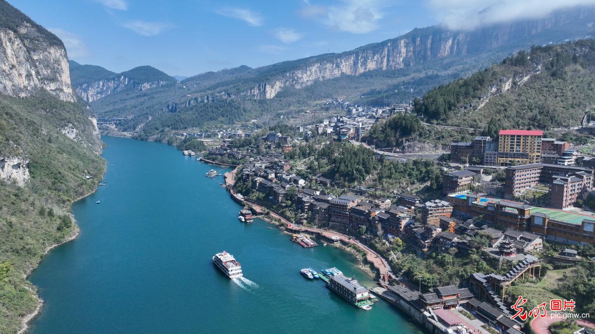 Spring blossoms frame scenic cruise near Gongtan Ancient Town Spring blossoms frame scenic cruise near Gongtan Ancient Town