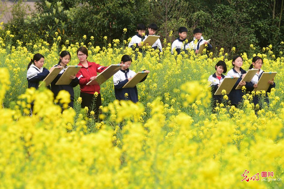 Students bring art to the fields