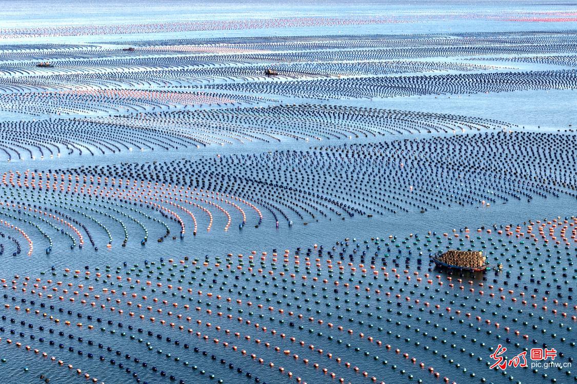 Spring fishing in SE China's Fujian