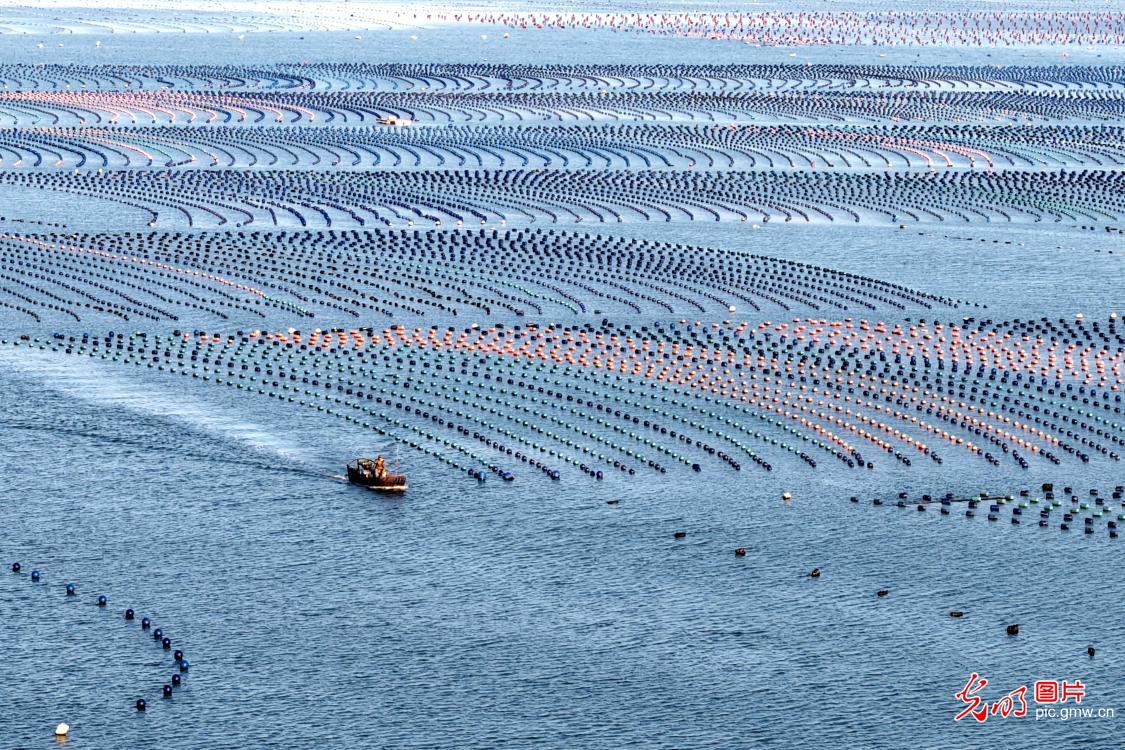 Spring fishing in SE China's Fujian