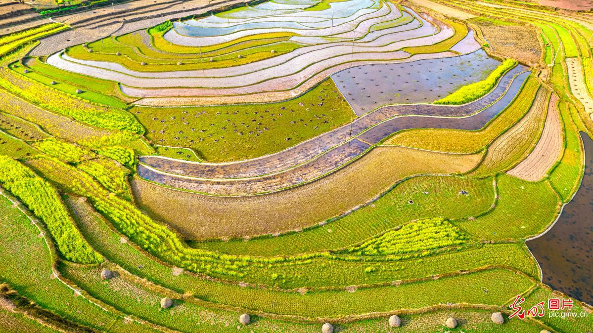 Terraced fields store water for spring farming in SW China's Guizhou