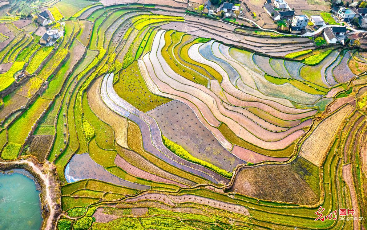 Terraced fields store water for spring farming in SW China's Guizhou