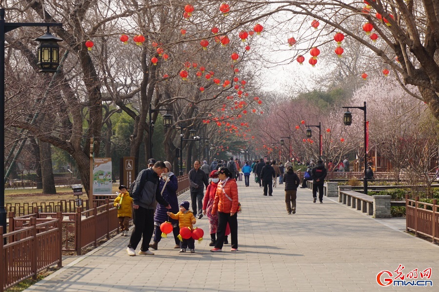 Spring blossoms attract visitors to Taoranting Park in Beijing