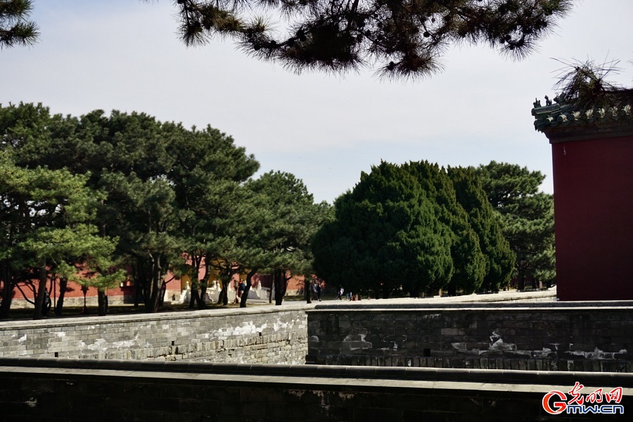 In pics: Spring scenery at Temple of Heaven