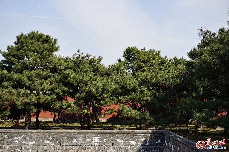 In pics: Spring scenery at Temple of Heaven
