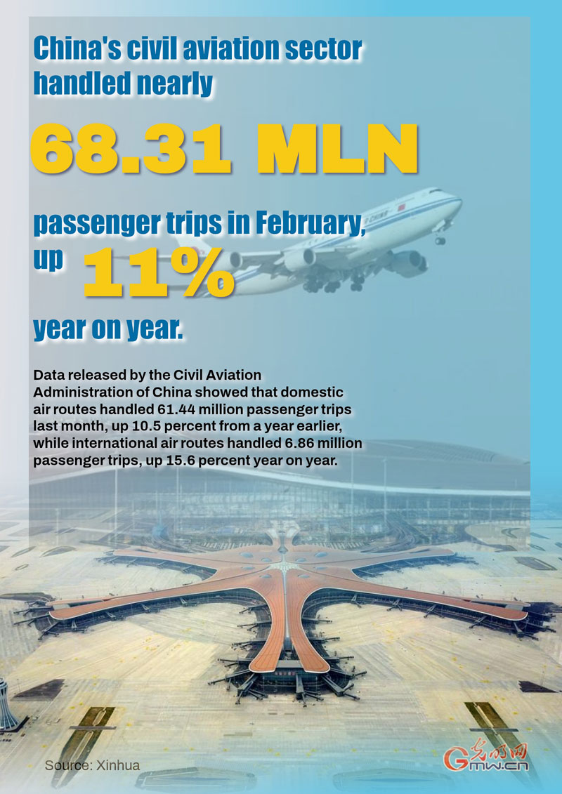 Poster: China's civil aviation passenger trips up 11 pct in February Poster: China's civil aviation passenger trips up 11 pct in February