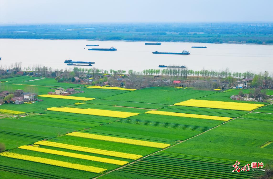 Spring scene along Yangtze River