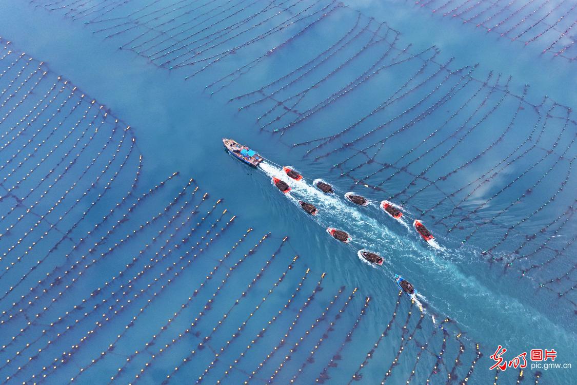 Spring farming in costal China