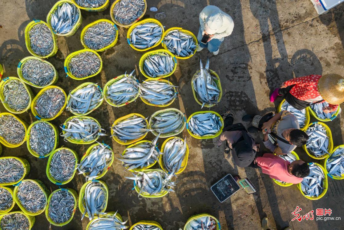 Spring farming in costal China