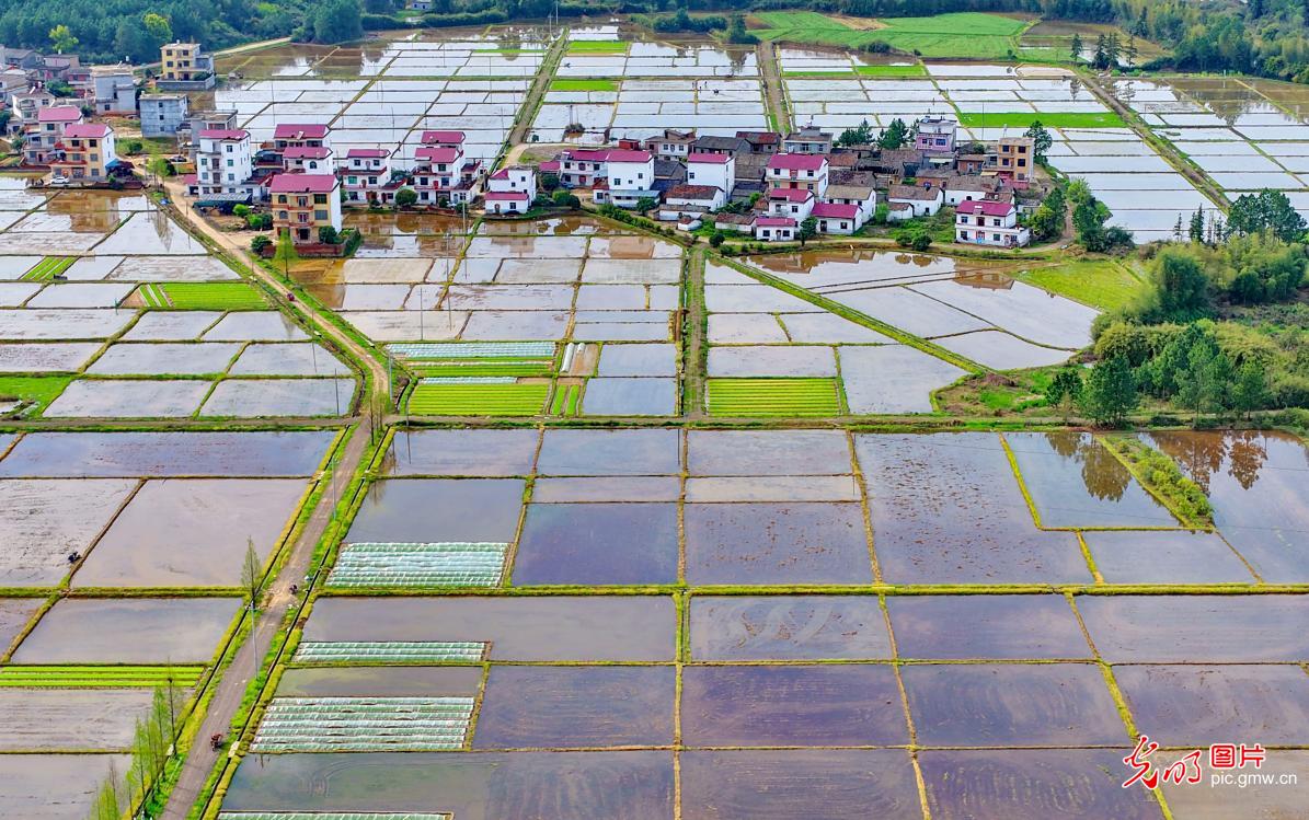 Idyllic rural spring scenery in E China's Jiangxi