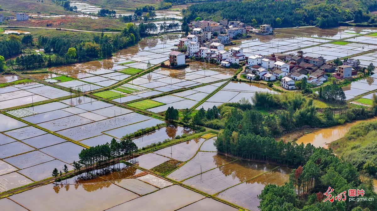 Idyllic rural spring scenery in E China's Jiangxi
