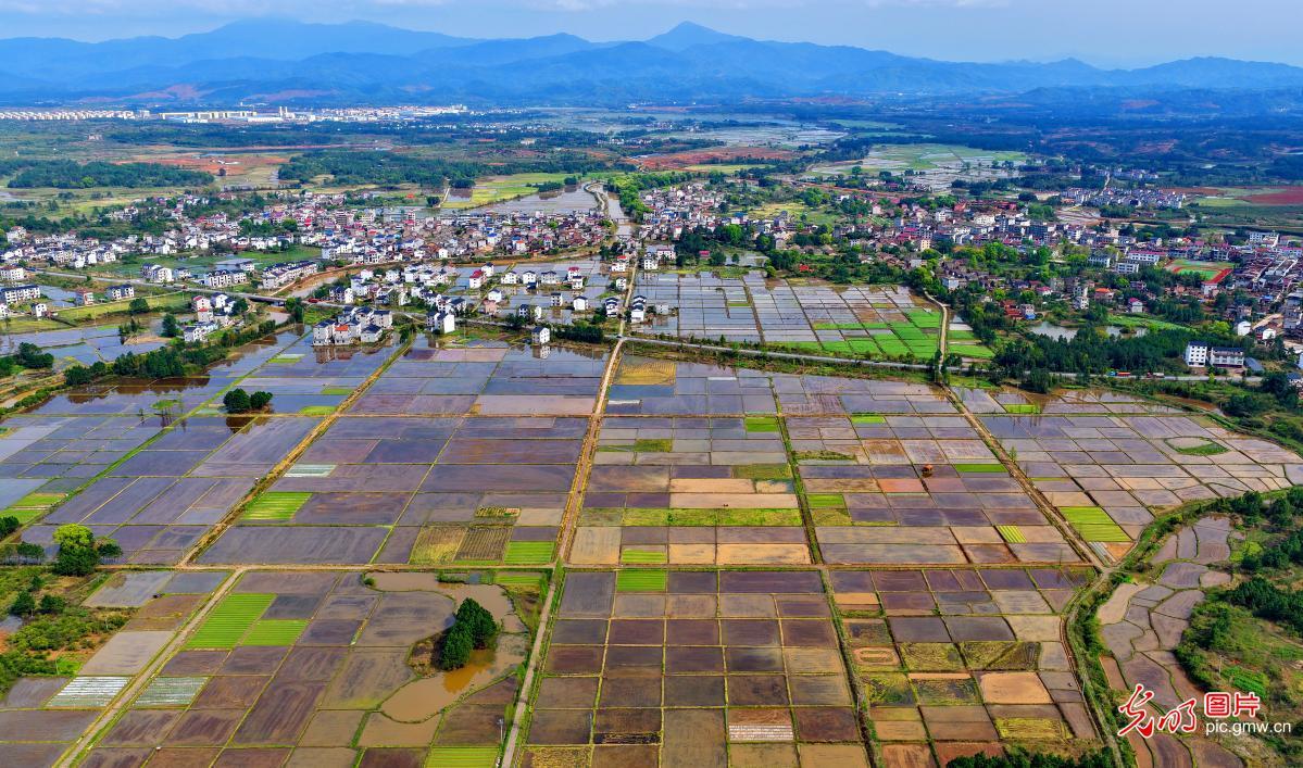 Idyllic rural spring scenery in E China's Jiangxi