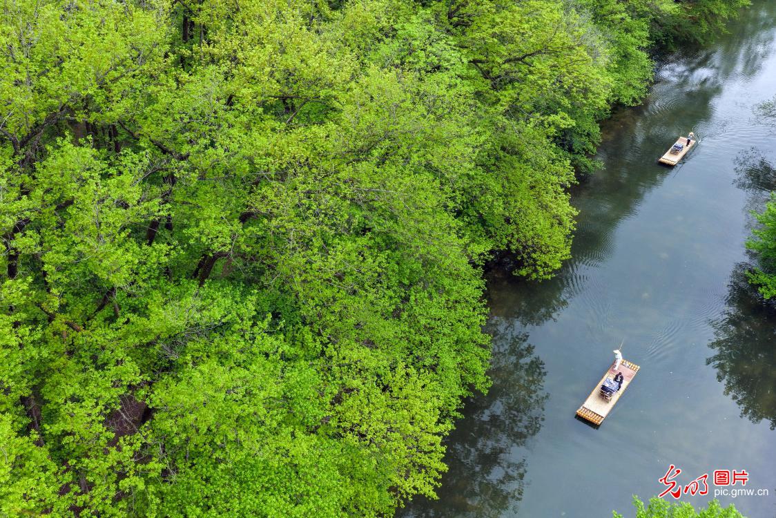 Fresh green unfolds at Xixinan Wetland in spring