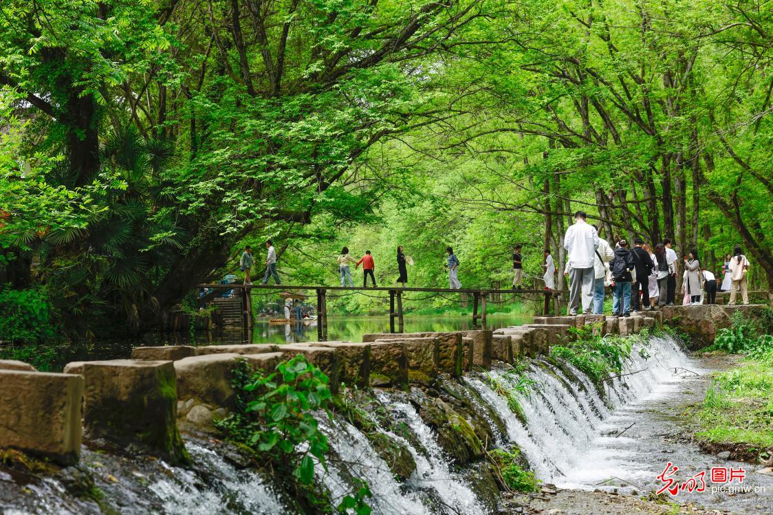Fresh green unfolds at Xixinan Wetland in spring