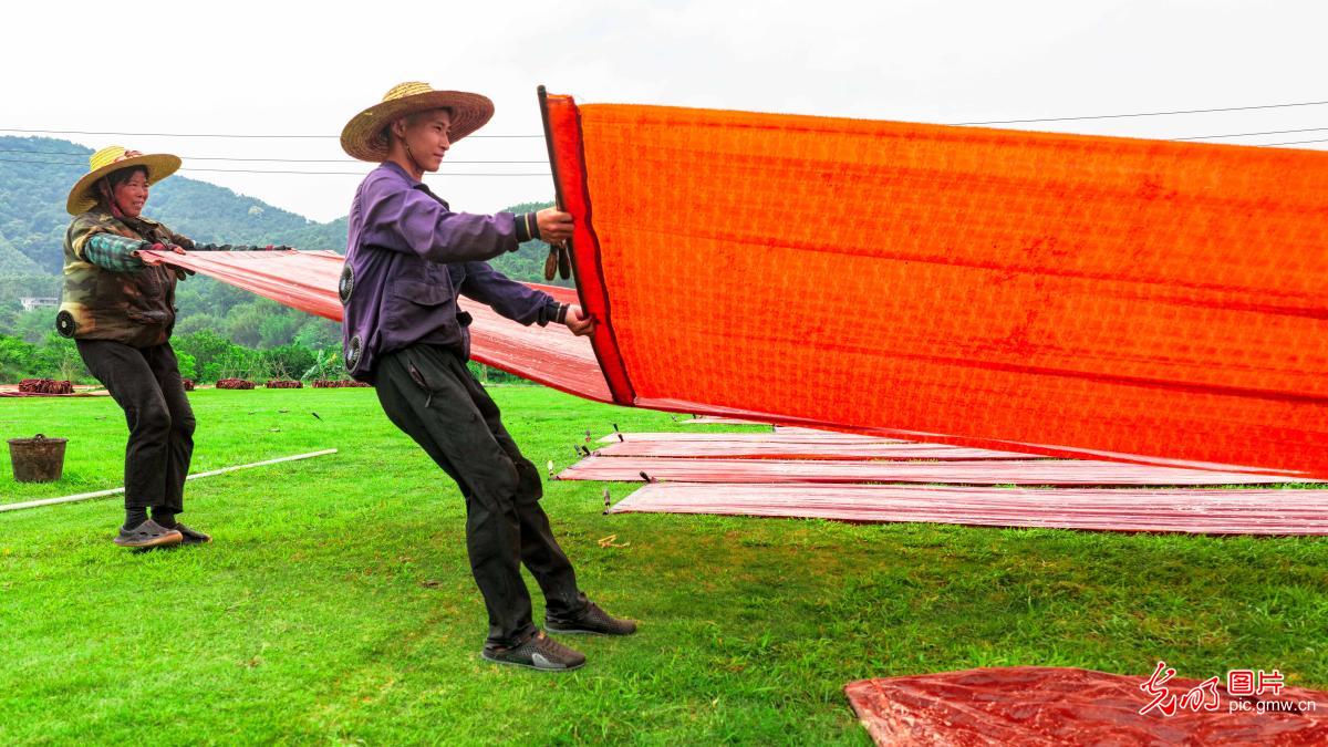 Traditional silk craft thrives in S China's Guangxi