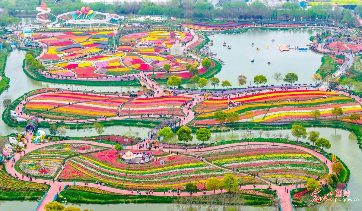 Tulip blooms attract visitors in E China's Jiangsu