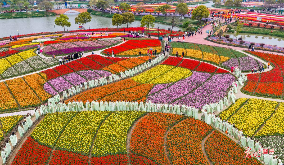 Tulip blooms attract visitors in E China's Jiangsu