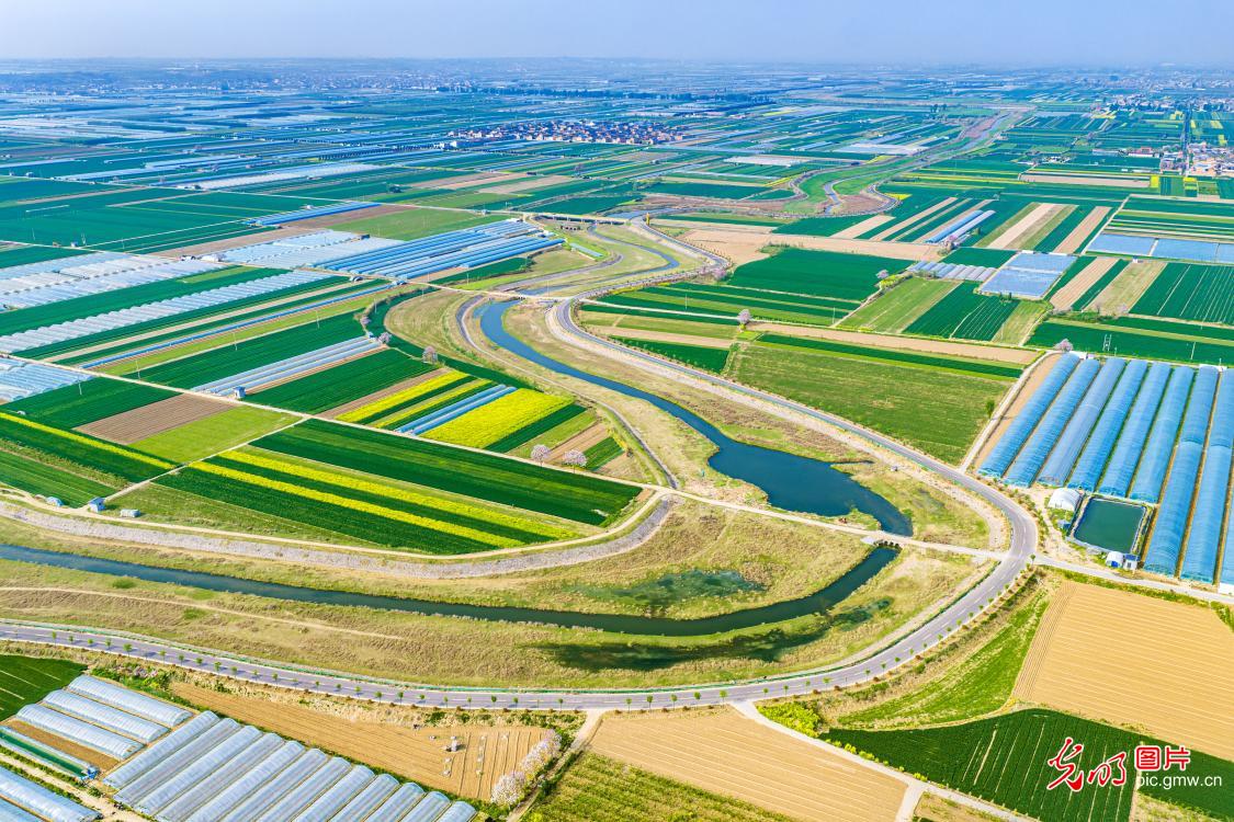 Spring scenery along Yellow River tourism highway in N China's Shanxi