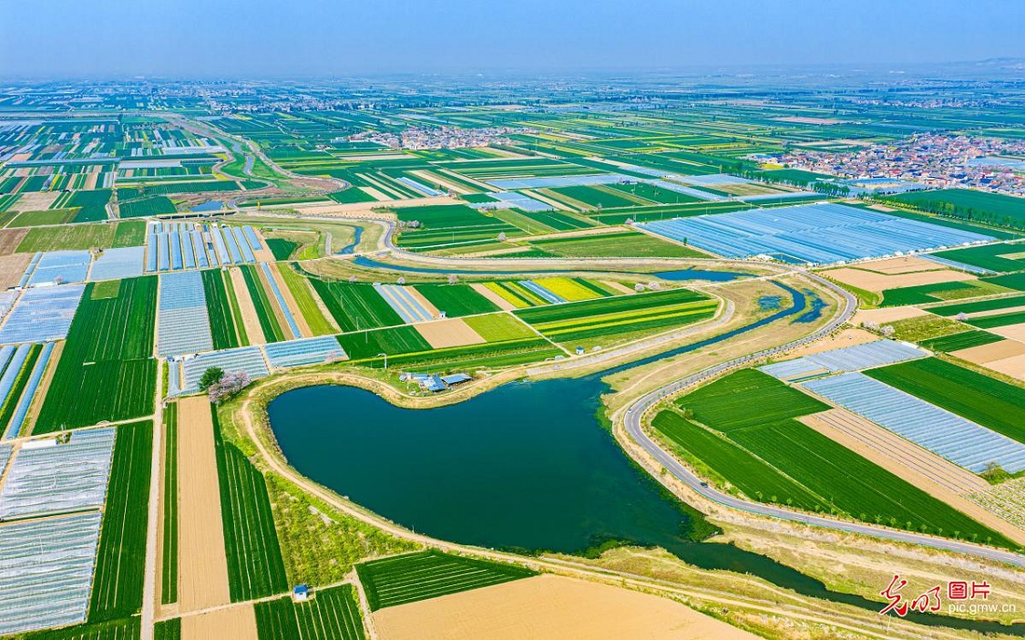 Spring scenery along Yellow River tourism highway in N China's Shanxi