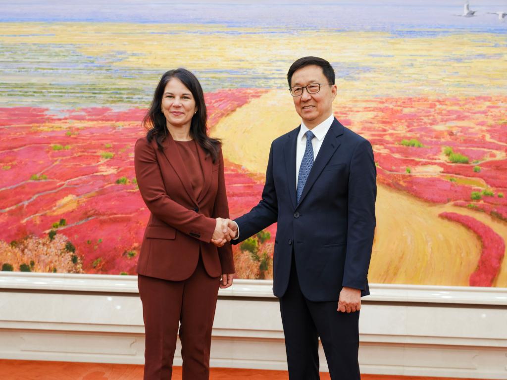 Chinese VP meets president of 80th session of UNGA