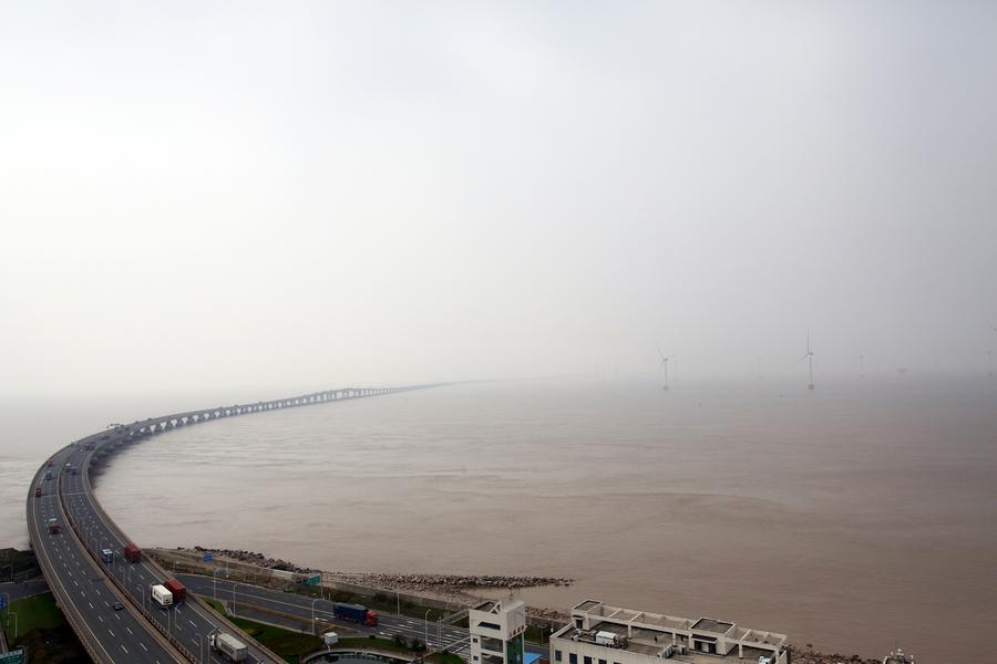 Exploring Shanghai Yangshan Deep Water Port's phase IV automated terminal