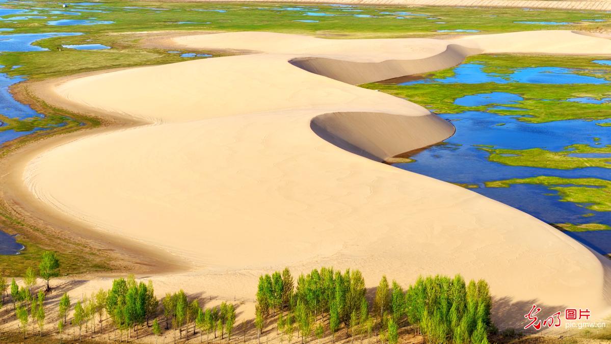 Serene late spring scenery in Inner Mongolia