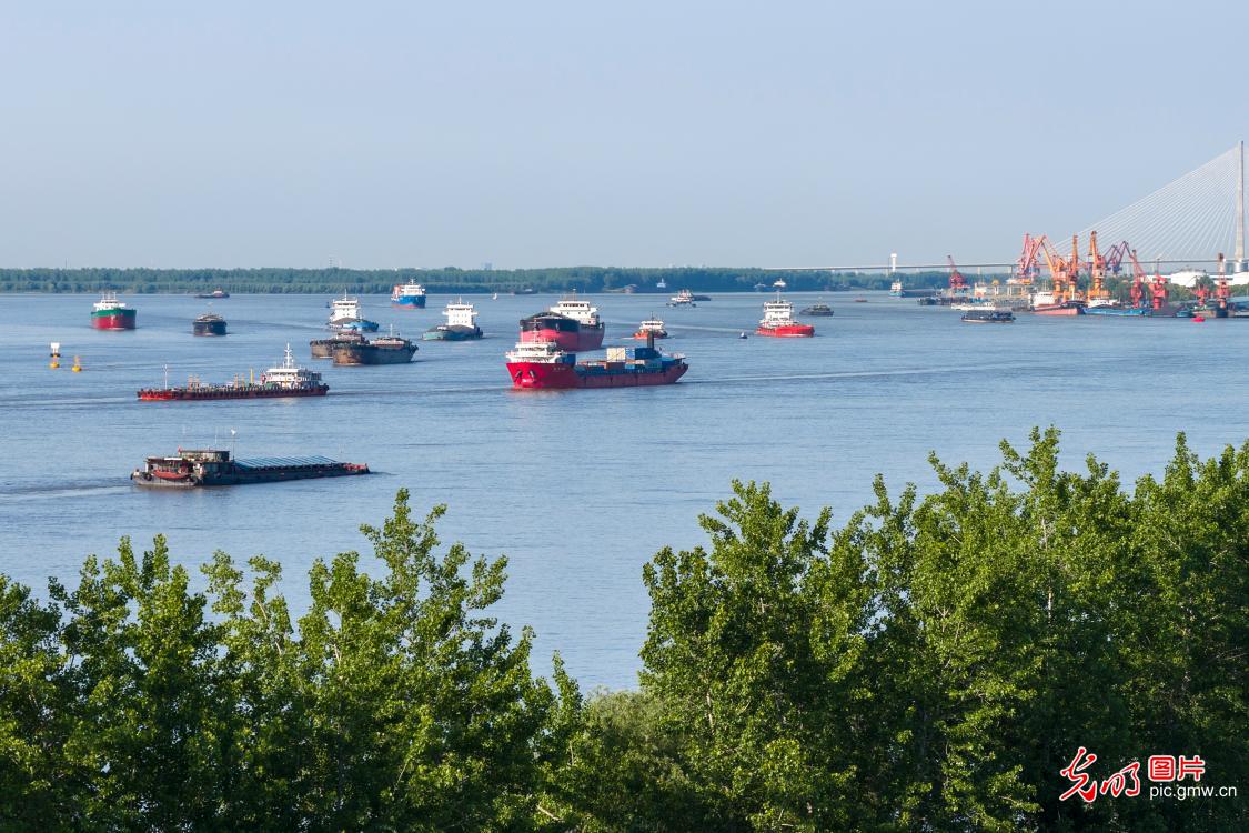 Cargo ships busy on Yangtze River in E China's Anhui