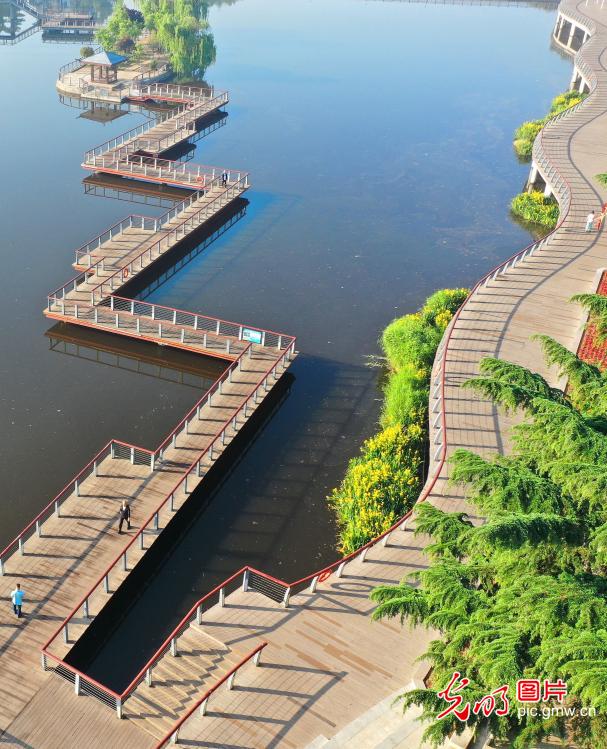 Ecological improvement along Moshui River in E China's Shandong Ecological improvement along Moshui River in E China's Shandong