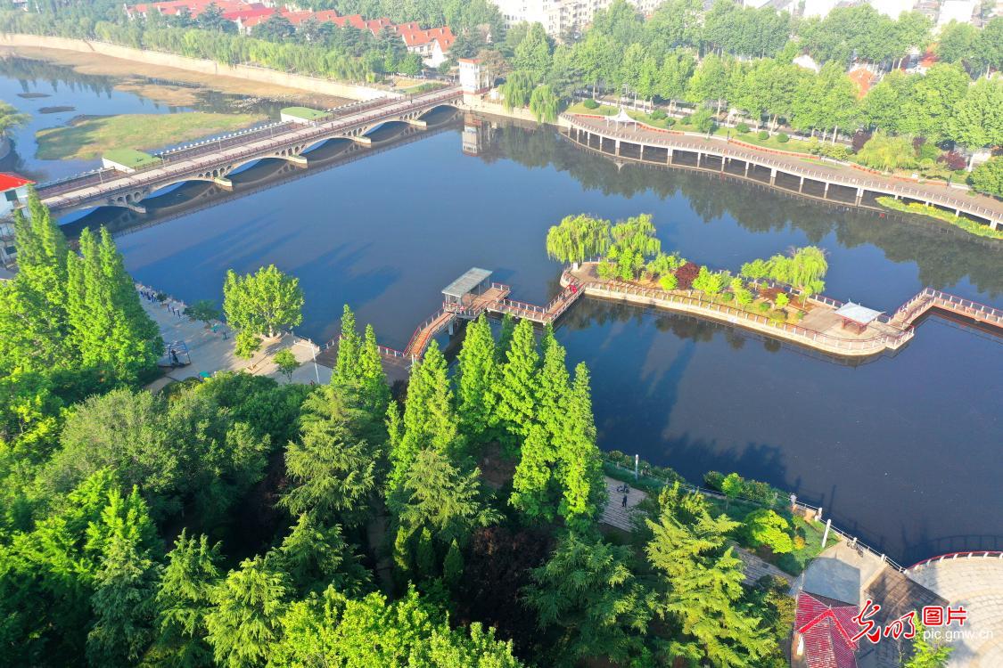 Ecological improvement along Moshui River in E China's Shandong Ecological improvement along Moshui River in E China's Shandong
