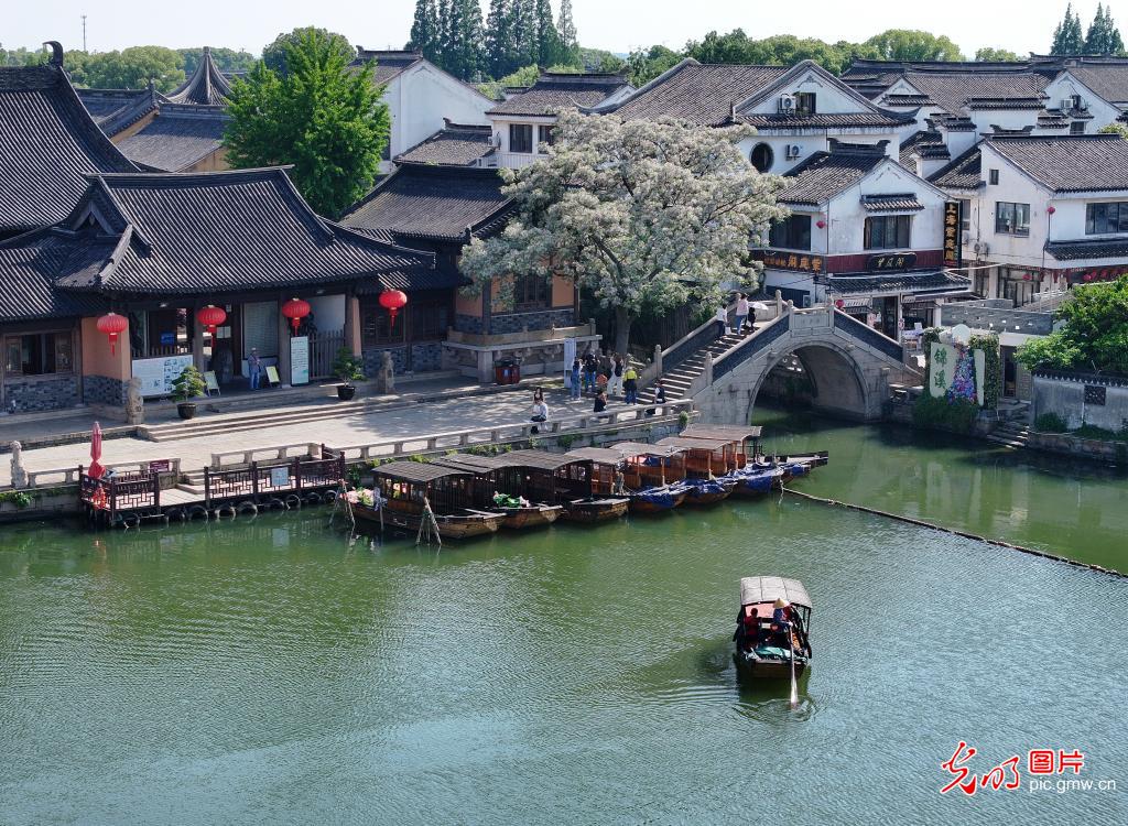 Early summer scenery draws visitors in E China's Jiangsu Early summer scenery draws visitors in E China's Jiangsu