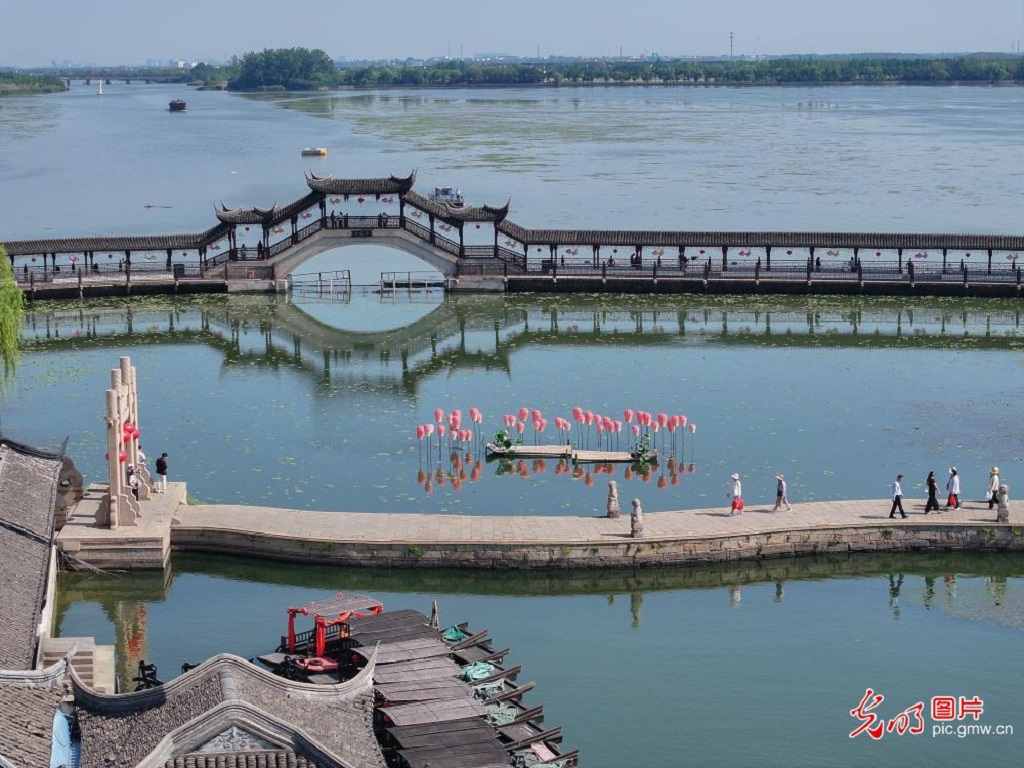 Early summer scenery draws visitors in E China's Jiangsu Early summer scenery draws visitors in E China's Jiangsu