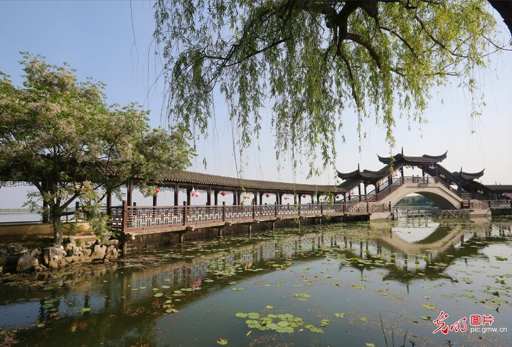 Early summer scenery draws visitors in E China's Jiangsu Early summer scenery draws visitors in E China's Jiangsu