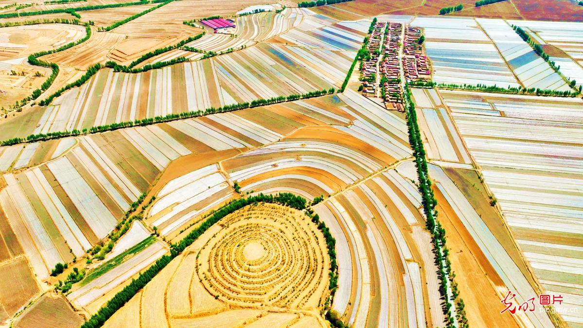 Spring-sown fields form scenic patterns in N China's Inner Mongolia Spring-sown fields form scenic patterns in N China's Inner Mongolia