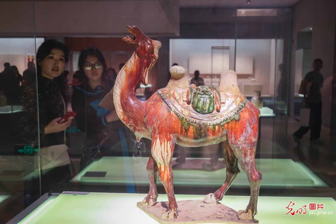 Visitors flock to Nanjing Museum on Int'l Museum Day