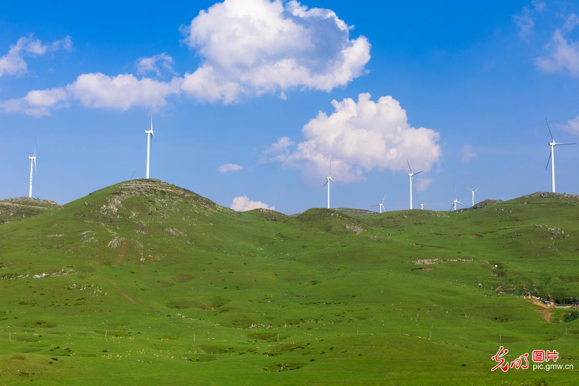 Bright sunshine bathes picturesque grassland