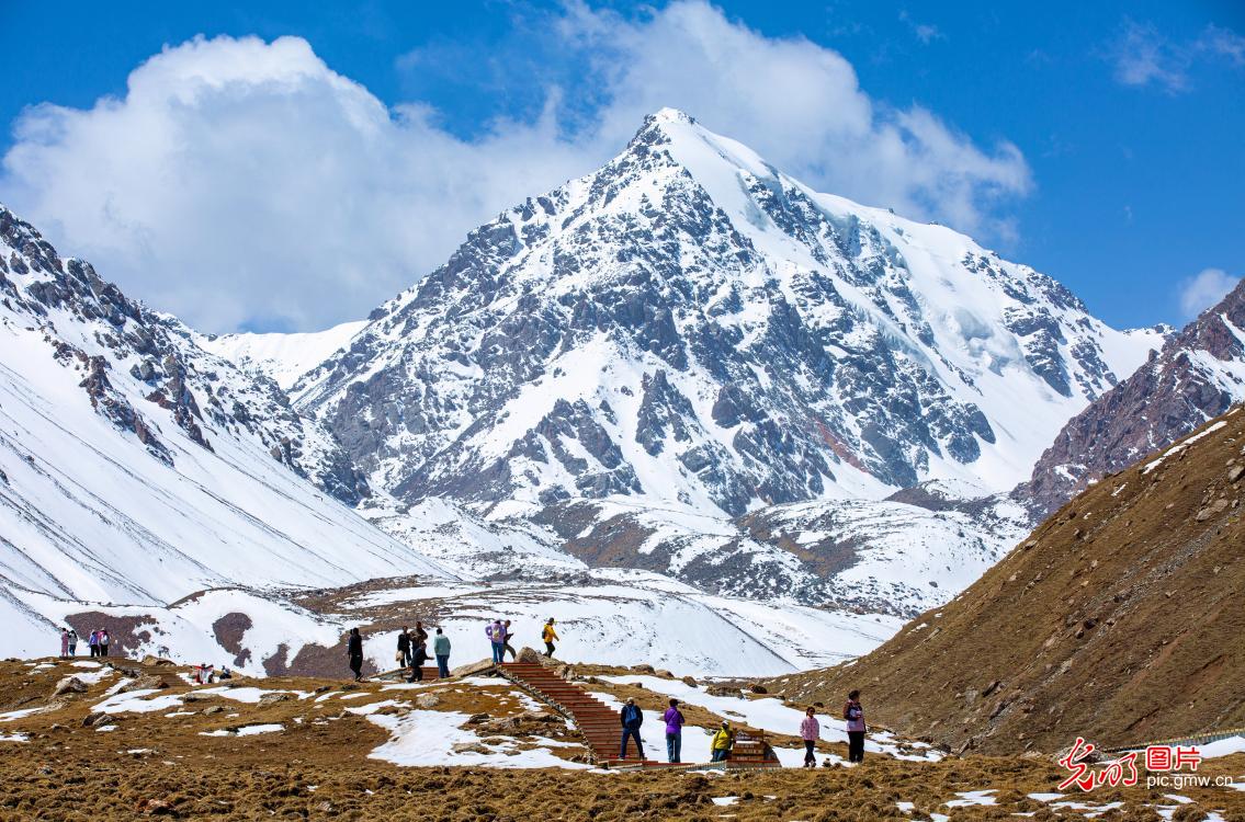Early summer scenery of Bars Snow Mountain draws visitors in NW China's Gansu