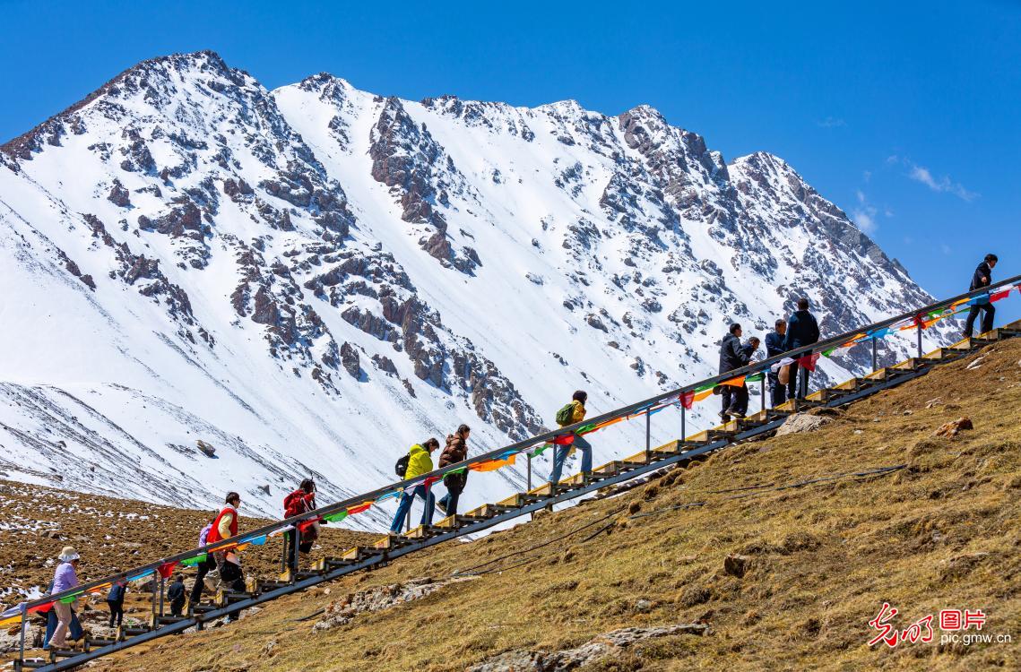 Early summer scenery of Bars Snow Mountain draws visitors in NW China's Gansu