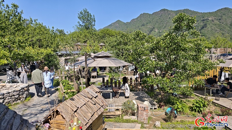 Spring scenery flourishes at Lihua Valley in Beiijng
