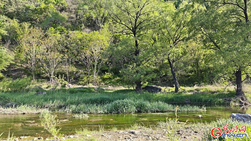 Spring scenery flourishes at Lihua Valley in Beiijng