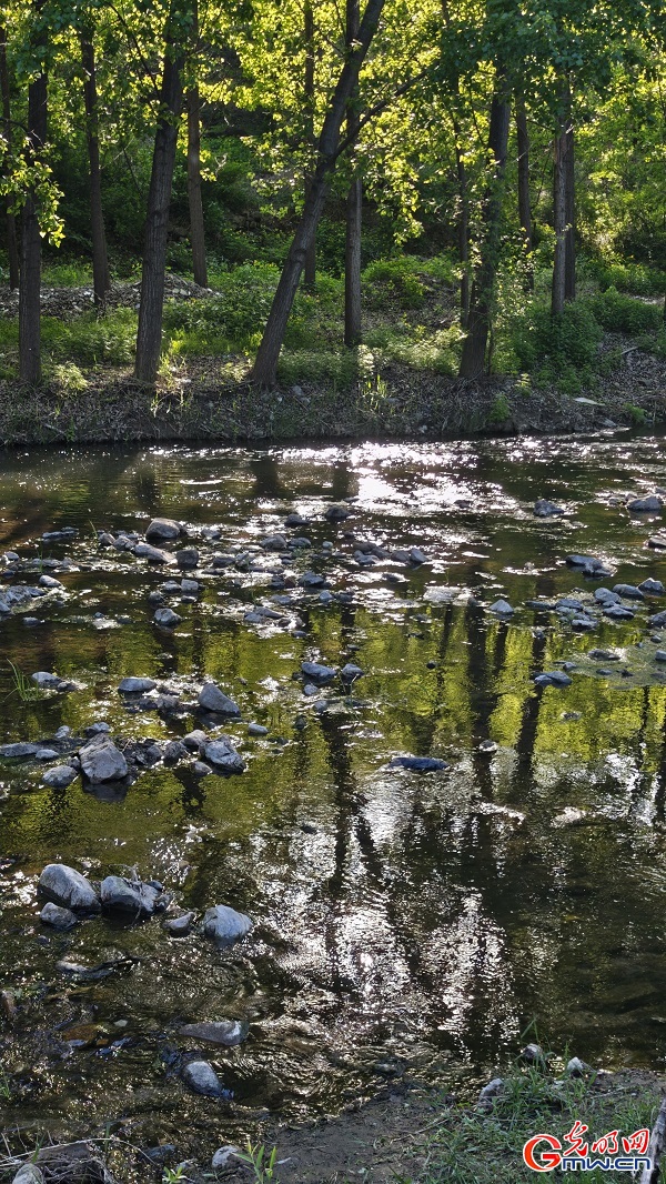 Spring scenery flourishes at Lihua Valley in Beiijng