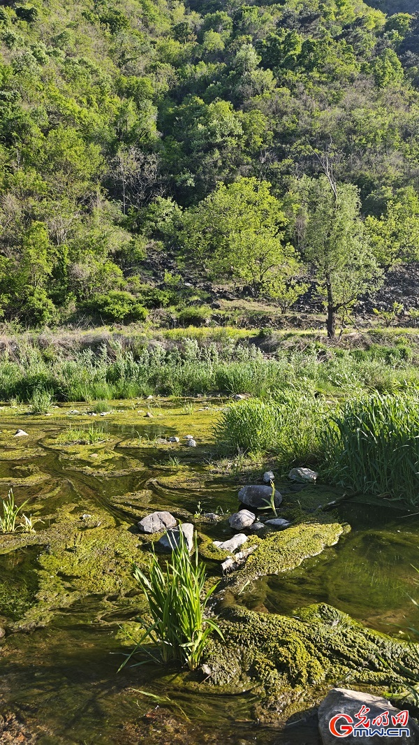 Spring scenery flourishes at Lihua Valley in Beiijng