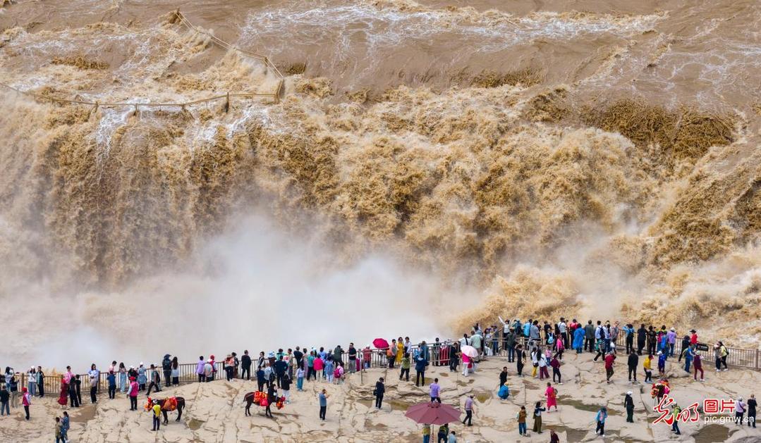 Spectacular “golden cascades” presented in N China’s Shanxi