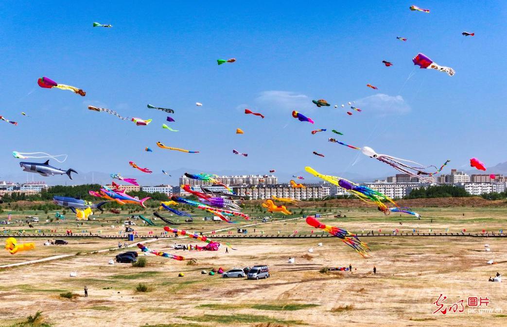 Colorful kites soar across sky in Inner Mongolia